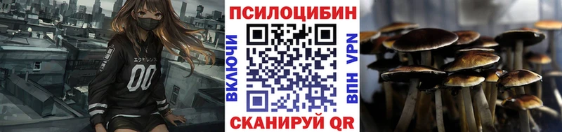 купить Соль-Илецк Галлюциногенные грибы мицелий
